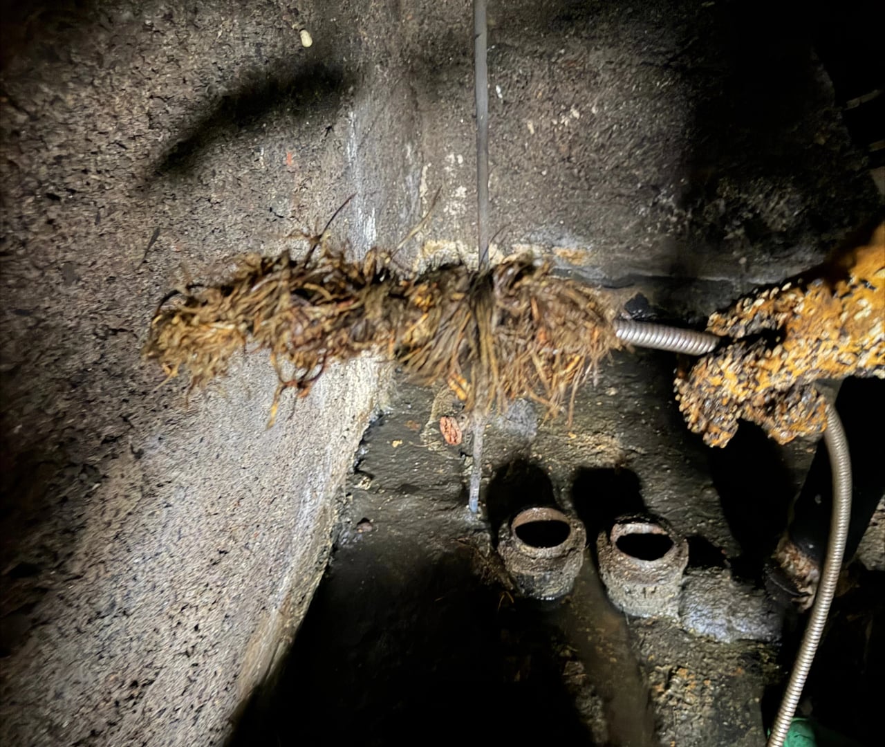 Best Scranton Plumbing Services