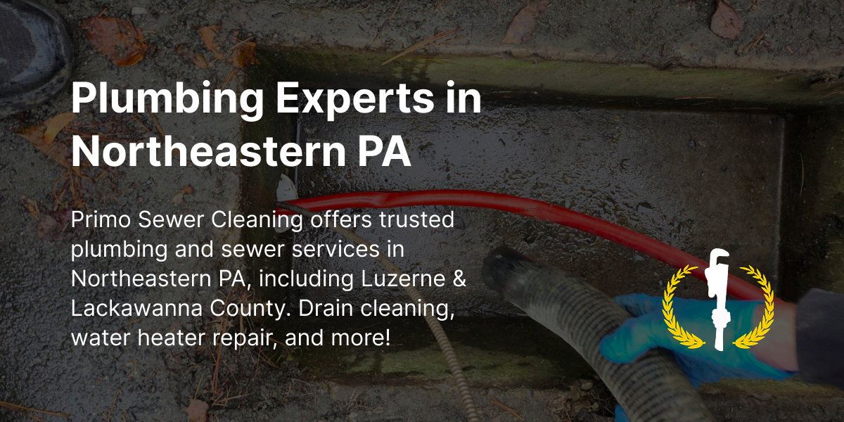 Primo Sewer Cleaning logo